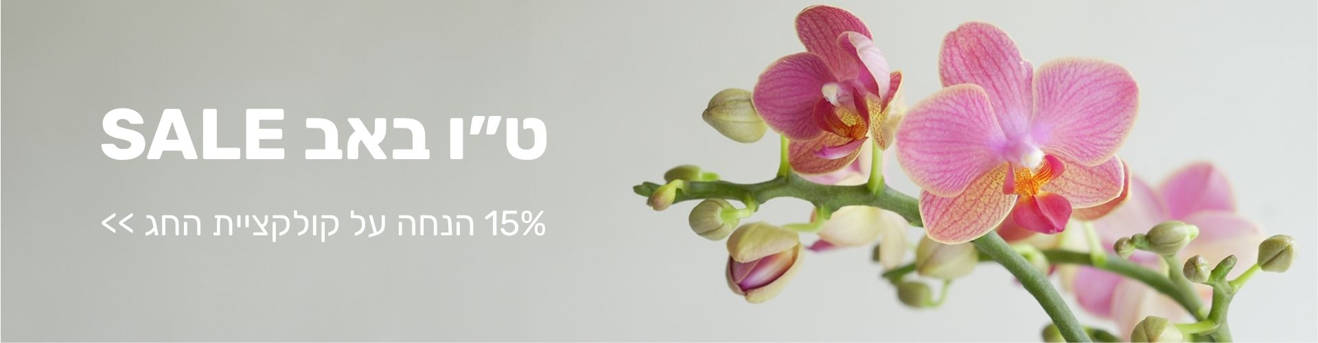 15% הנחה על קולקציית טו באב