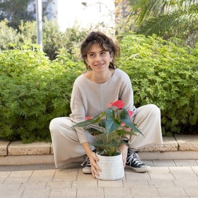 אנטוריום אדום העציץ טריפולי לבן