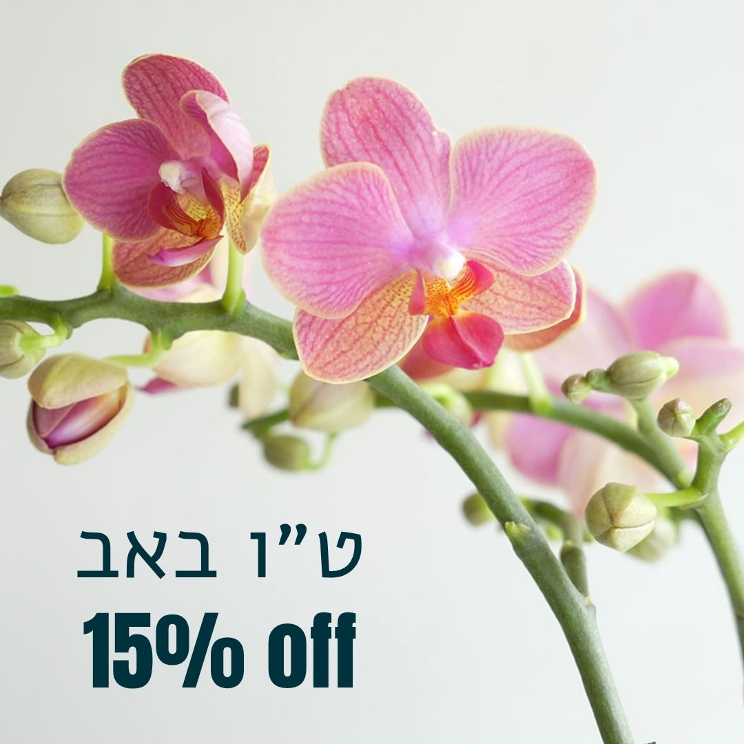 15% הנחה על קולקציית טו באב