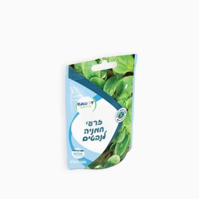 זרעי חמניה לנבטים