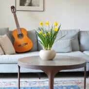 נרקיס בעציץ דבלין