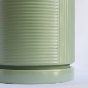 עציץ וושינגטון ירקרק