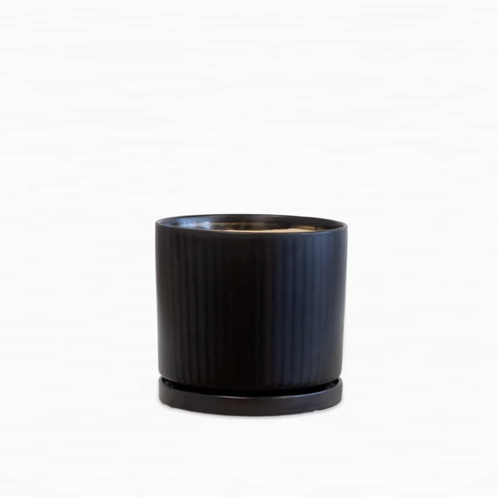 עציץ קופנהגן שחור מפוספס XL | פלנט איט