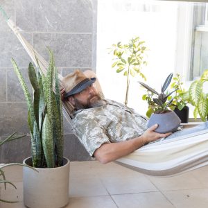 צמחים למרפסת